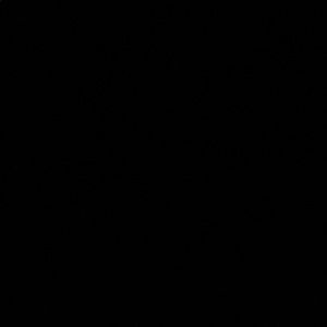 Meet your Posher, Ali